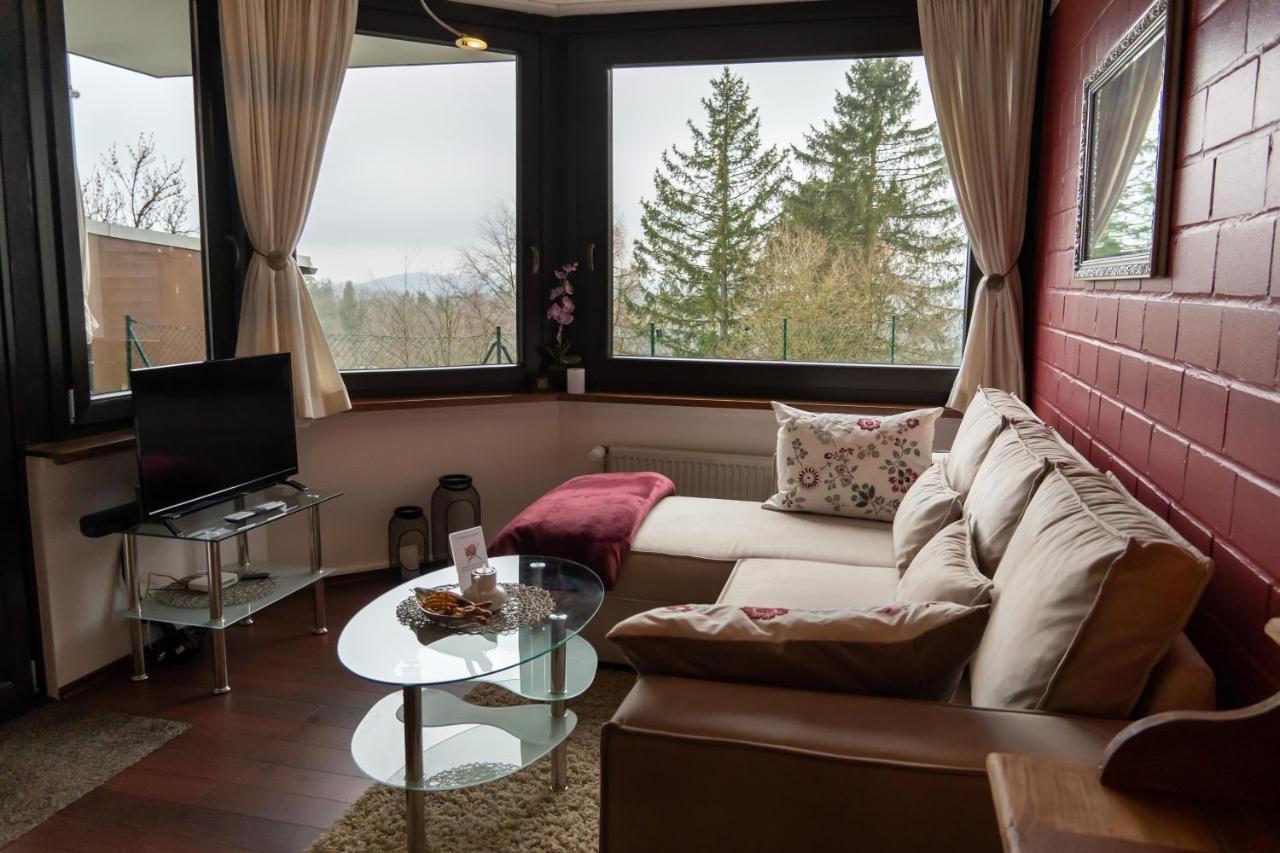 Fewo Harzer Weitblick, Hunde Willkommen, W-Lan, 2X Smart Tv, Dtv 4 Sterne, 4 Pfoten 브라운라제 외부 사진