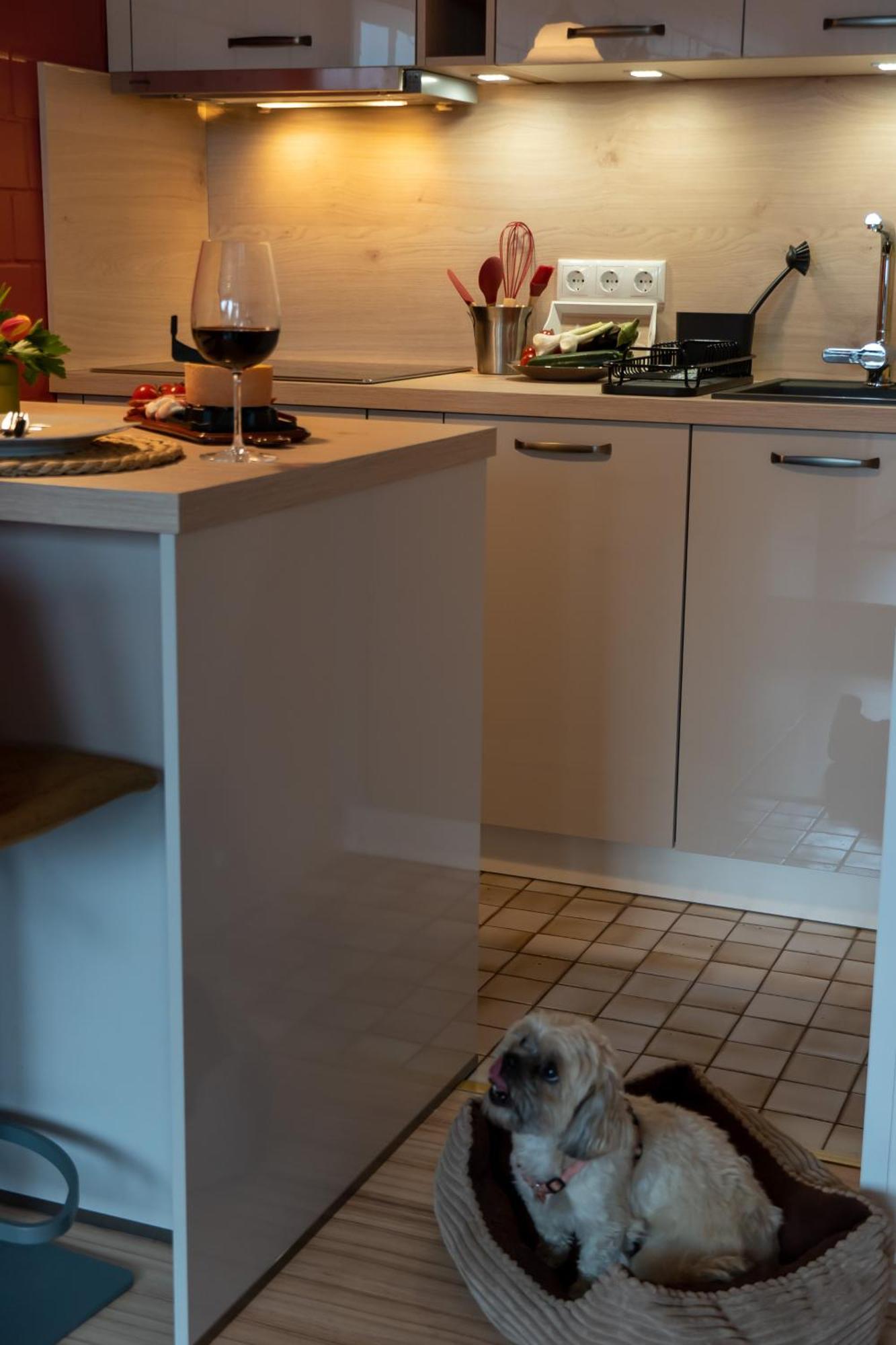 Fewo Harzer Weitblick, Hunde Willkommen, W-Lan, 2X Smart Tv, Dtv 4 Sterne, 4 Pfoten 브라운라제 외부 사진